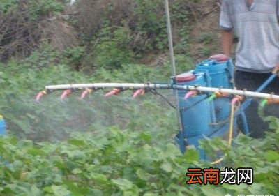 磷酸二氢钾多少时间使用一次最好