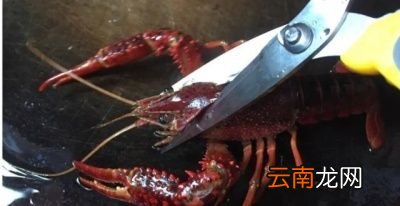 小龙虾怎么刷比较干净呢