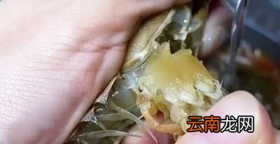 小龙虾怎么刷比较干净呢