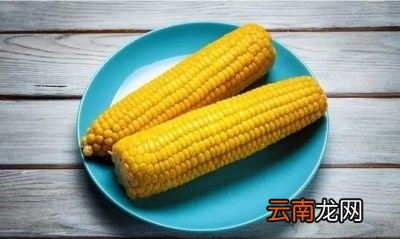 吃玉米＋减肥您应该做到什么