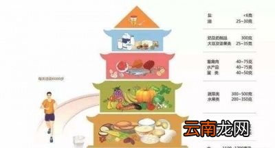玉米是减肥期间主食的推荐食物
