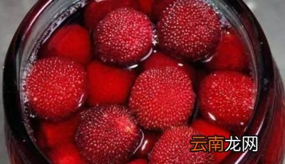 杨梅酒放多少年好喝