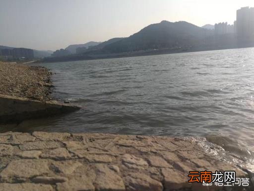 国企好还是私企好 国企和私企你会如何抉择？