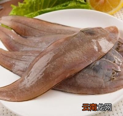 什么鱼的肉没刺而且还好吃