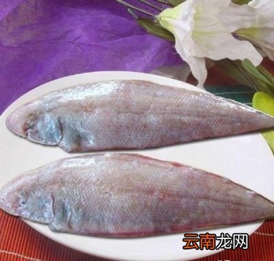 什么鱼的肉没刺而且还好吃