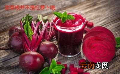 一家人两顿的量 0罗宋汤的做法