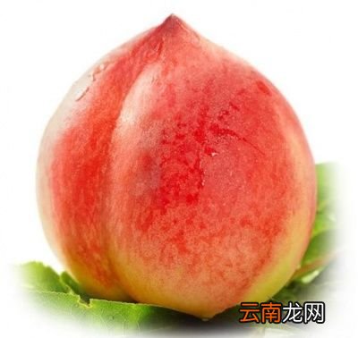 怀孕期间到底可不可以吃桃子呢