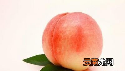 孕妇能吃多少桃子
