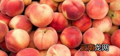孕妇能吃多少桃子
