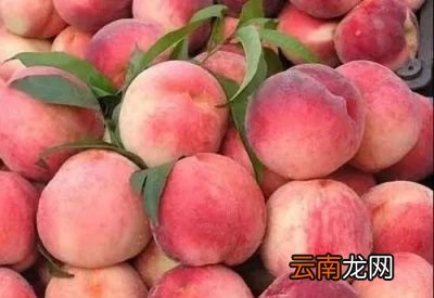 孕妇吃桃子的好处有哪些