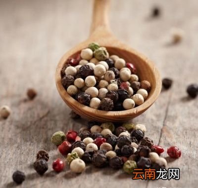 黑胡椒和白胡椒哪个味道更香