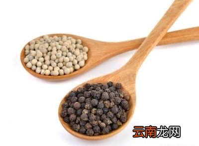 黑胡椒和白胡椒哪个味道更香