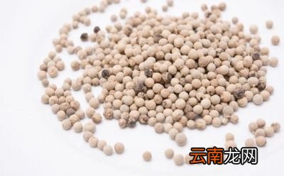 黑胡椒和白胡椒哪个味道更香