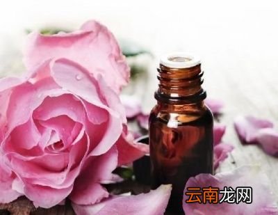 玫瑰花泡水的作用