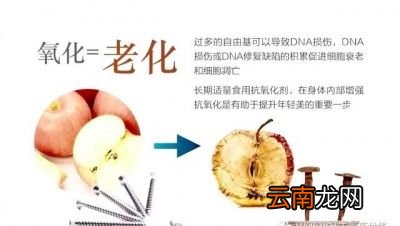 玫瑰花泡水的作用