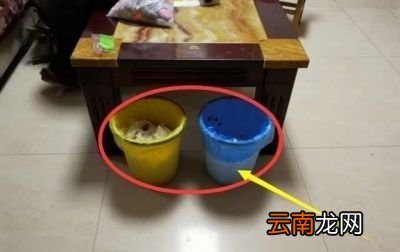 灭蚊的几种有效方法