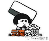 润唇膏排行榜 有什么巨美的口红推荐一下？
