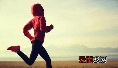 晚上不吃饭能减肥吗