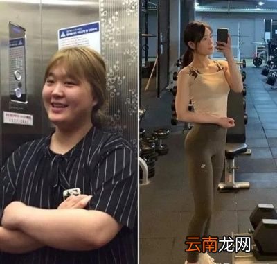晚上不吃饭能减肥吗