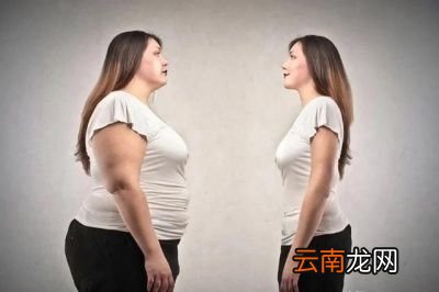 晚上不吃饭能减肥吗
