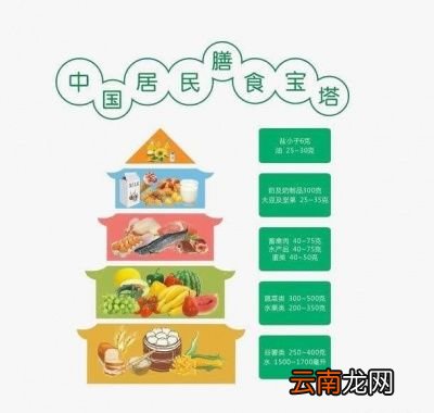 吃什么主食不容易胖
