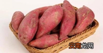 吃什么主食容易发胖