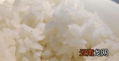 吃什么主食容易发胖