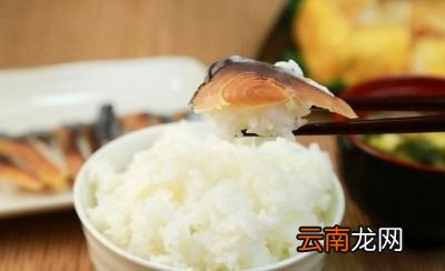 吃什么主食容易发胖减肥该避免哪些主食