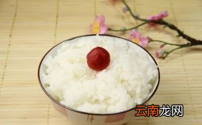 什么是主食主要包含哪些食物