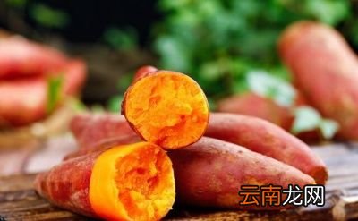 什么是主食主要包含哪些食物