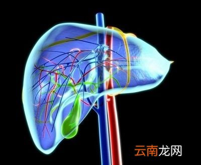 米饭面条馒头谁更容易吃胖