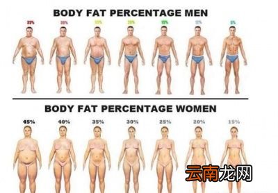 体脂率怎么样测呢