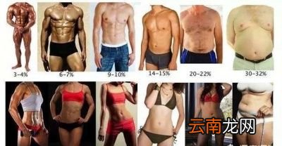 每天多少个卷腹合适