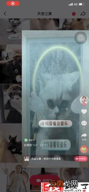 抖音特效师挣钱吗 特效师能自学吗