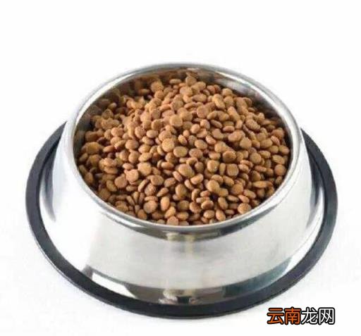 阿拉斯加犬训练 如何训练阿拉斯加犬吃狗粮?