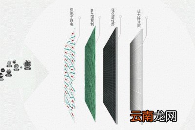 甲醛超标人体有什么反应