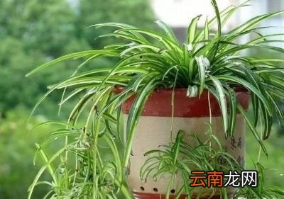 甲醛超标人体有什么反应