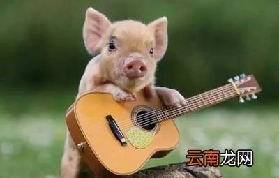 为什么土豆会增肥呢