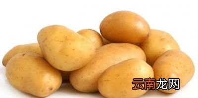 土豆为什么能起到减肥的效果