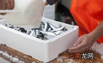 2021年春节还会像去年那样封城吗