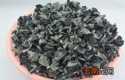 黑木耳怎么吃既营养又健康