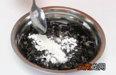 黑木耳怎么吃既营养又健康