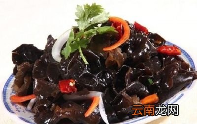 黑木耳怎么吃既营养又健康