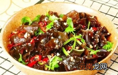 黑木耳怎么吃既营养又健康