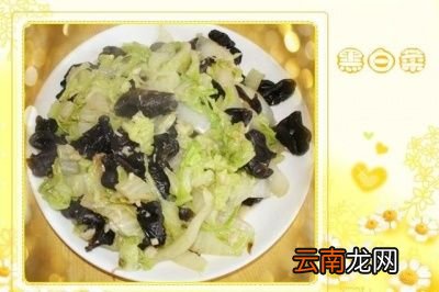 黑木耳有什么健康作用