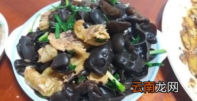 黑木耳有什么健康作用