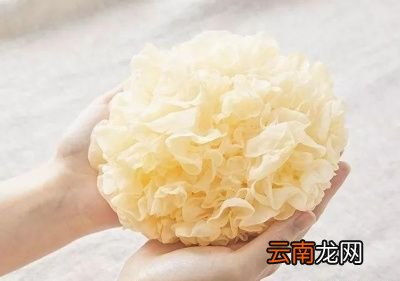 吃银耳对人体有什么好处