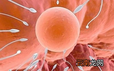 女性排卵期有哪些症状