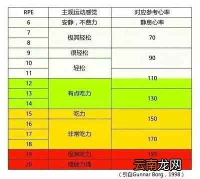 如何减掉腰腹脂肪