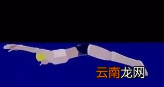 每天游泳会有什么改变